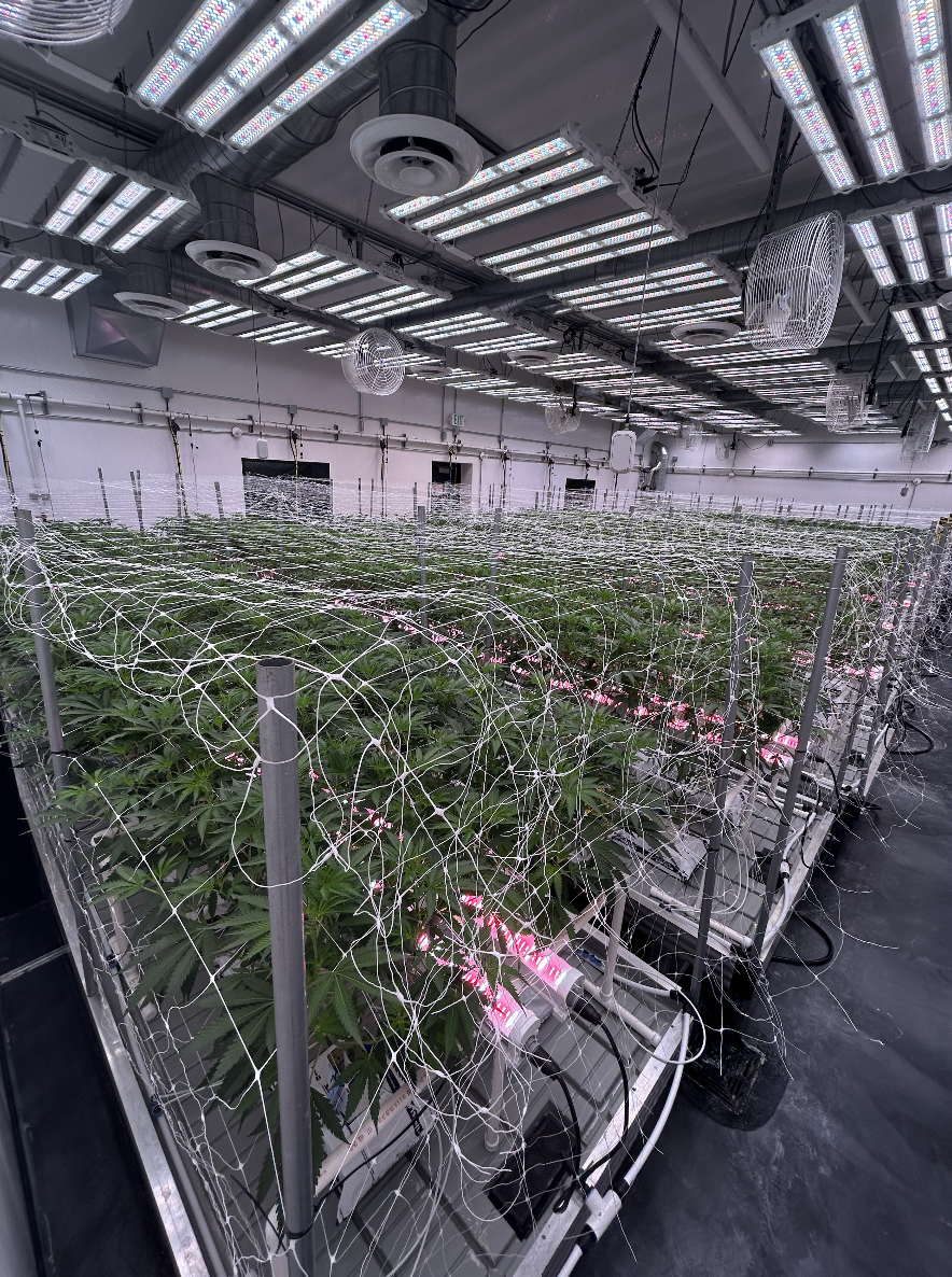Grow Room