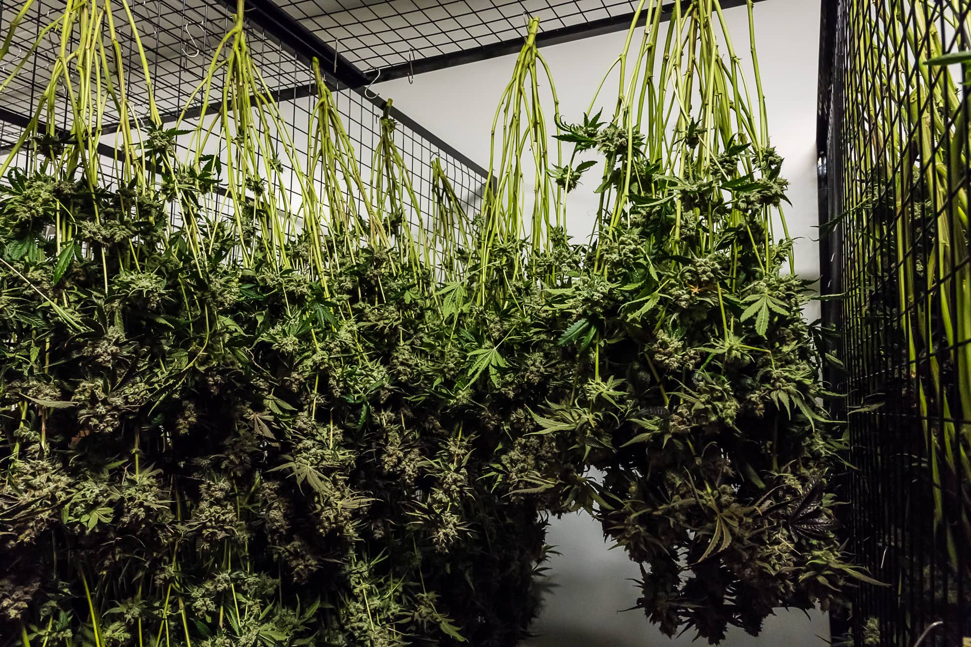 Drying Room