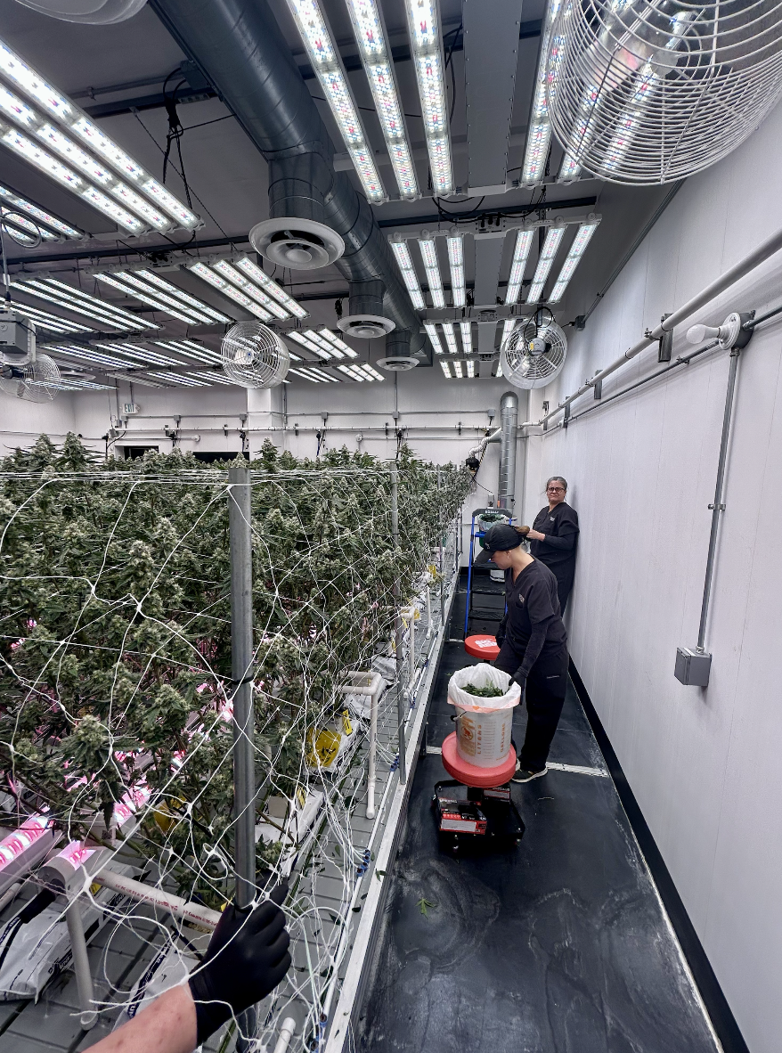 Growers at Work