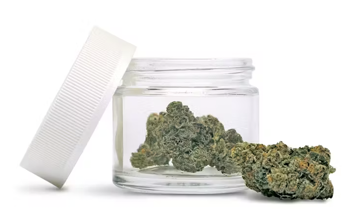 Strain B